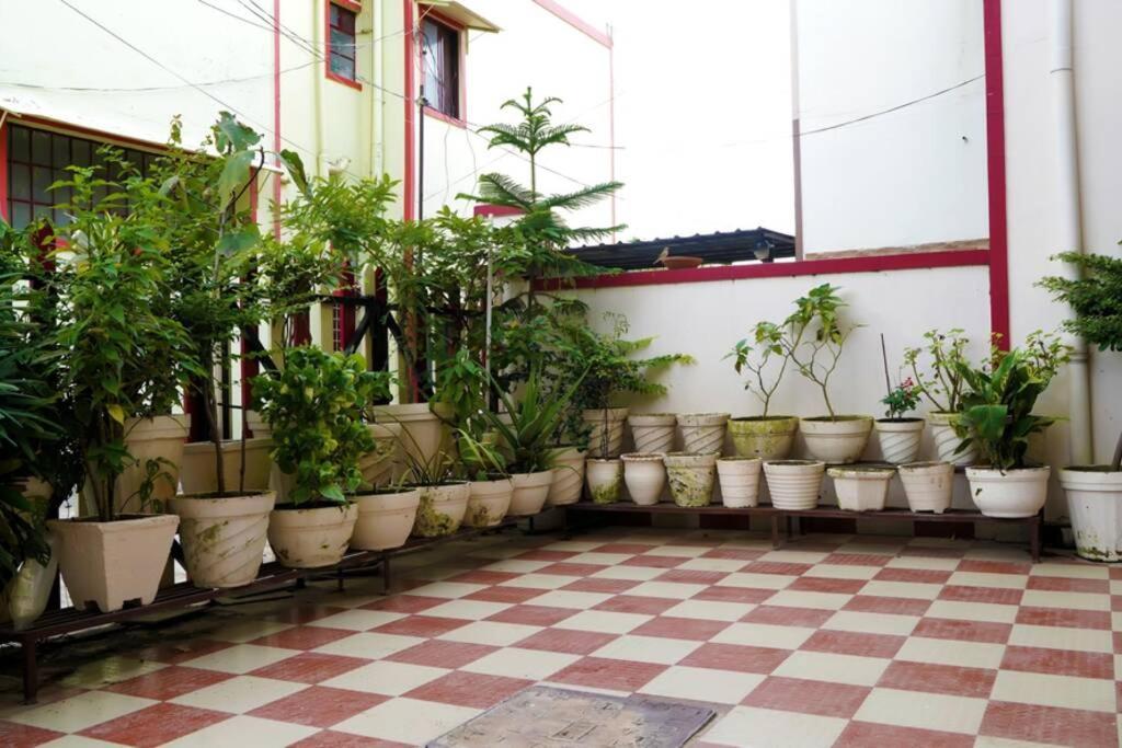 Sai Villa Dehradun